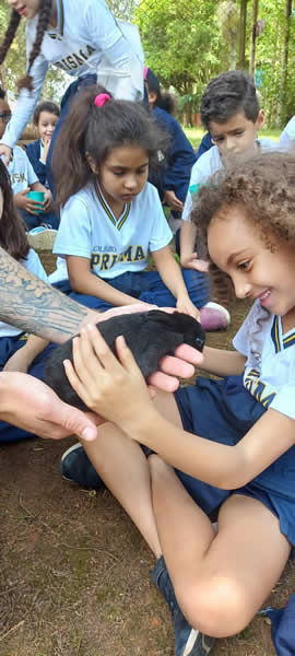 Bicho Mania 2022